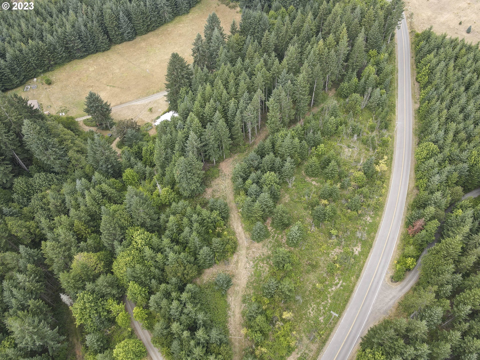 Northwest Pumpkin Ridge Road North Plains, OR 97133 - Photo 32 of 35 a view of a forest from a balcony