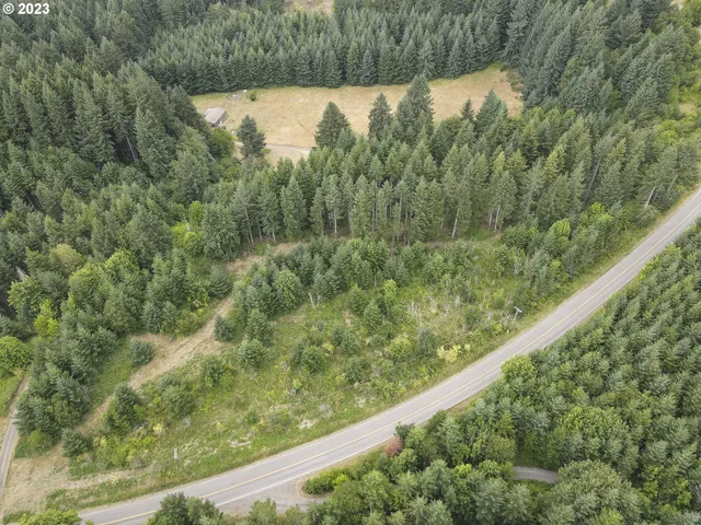 a view of a forest from a balcony
