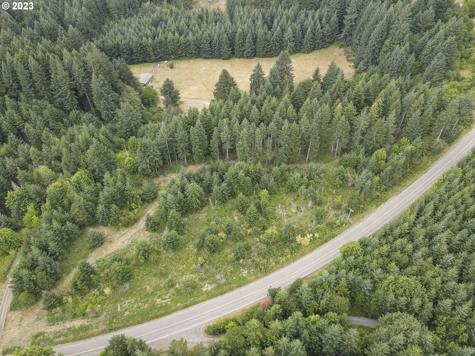 Northwest Pumpkin Ridge Road North Plains, OR 97133 - Photo 33 of 35 a view of a forest from a balcony