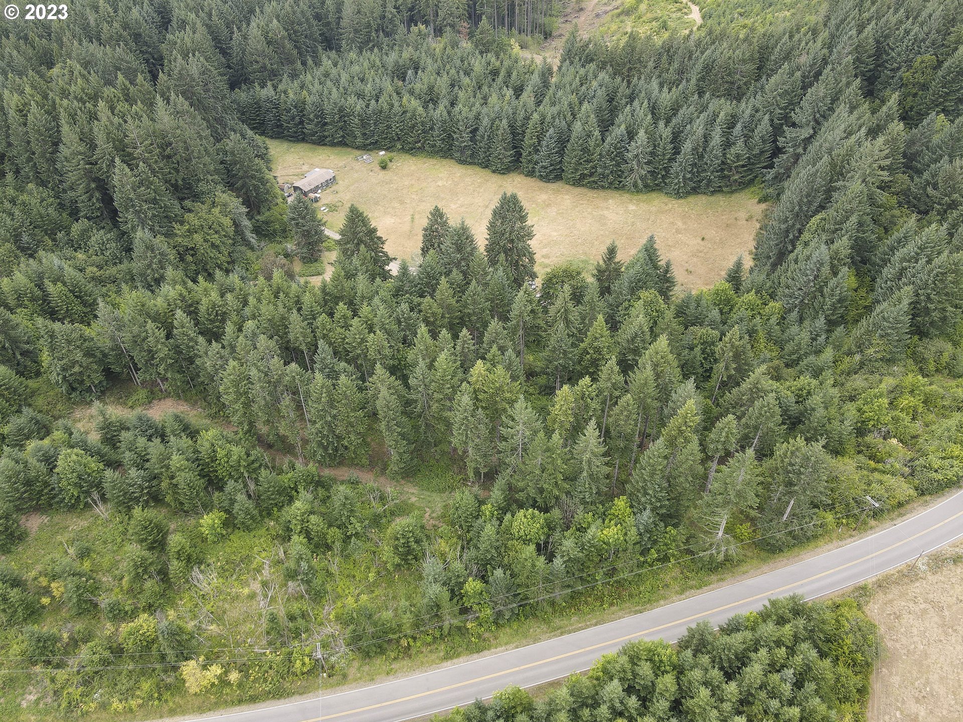Northwest Pumpkin Ridge Road North Plains, OR 97133 - Photo 4 of 35 a view of a forest from a window