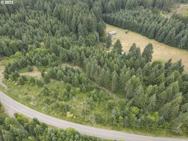 a view of a forest from a window