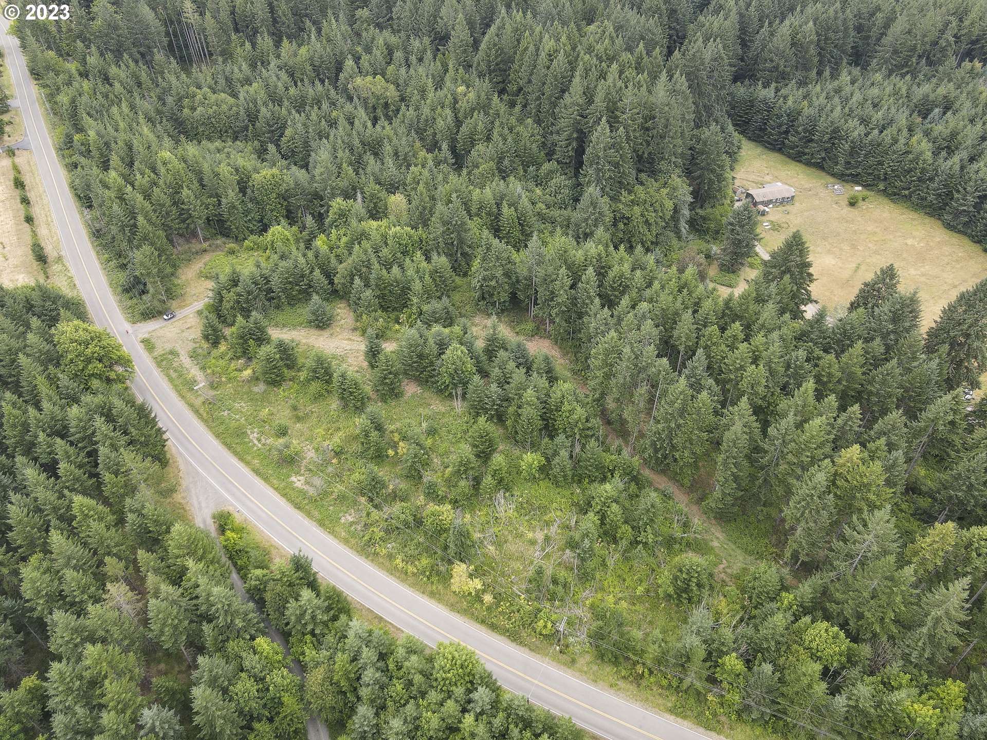 Northwest Pumpkin Ridge Road North Plains, OR 97133 - Photo 6 of 35 a view of a forest from a balcony