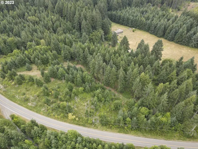 a view of a forest from a window