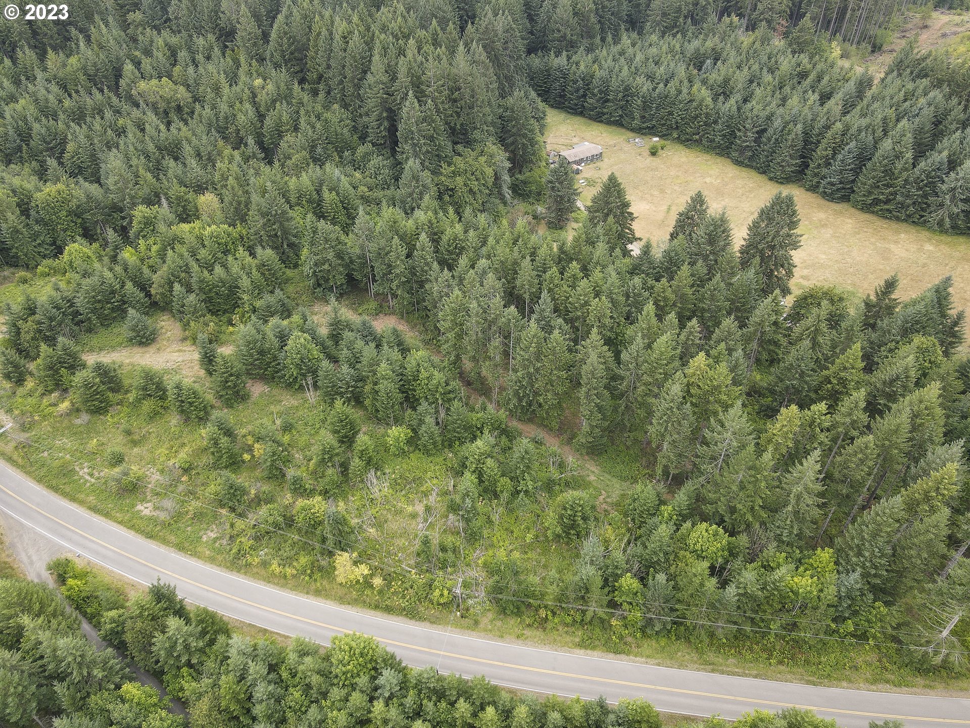 Northwest Pumpkin Ridge Road North Plains, OR 97133 - Photo 7 of 35 a view of a forest from a window