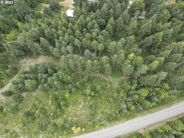 a view of a forest from a window