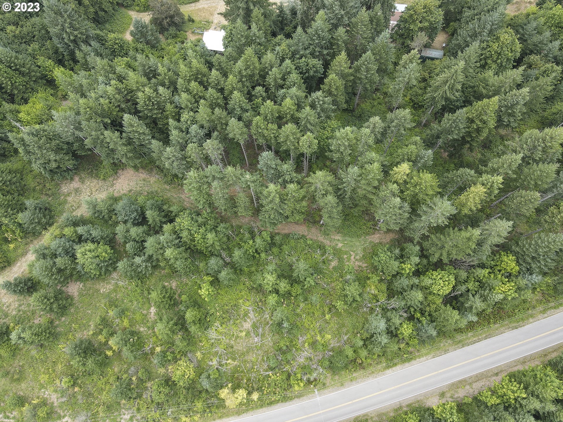 Northwest Pumpkin Ridge Road North Plains, OR 97133 - Photo 8 of 35 a view of a forest from a window