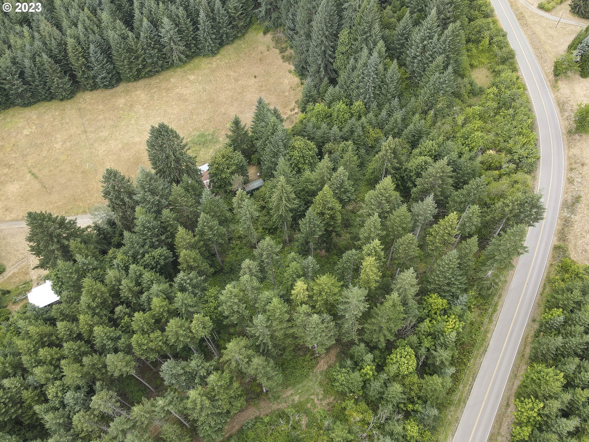 Northwest Pumpkin Ridge Road North Plains, OR 97133 - Photo 9 of 35 a view of a forest with a tree