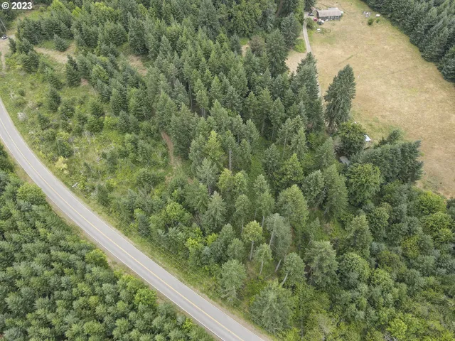 a view of a forest from a window