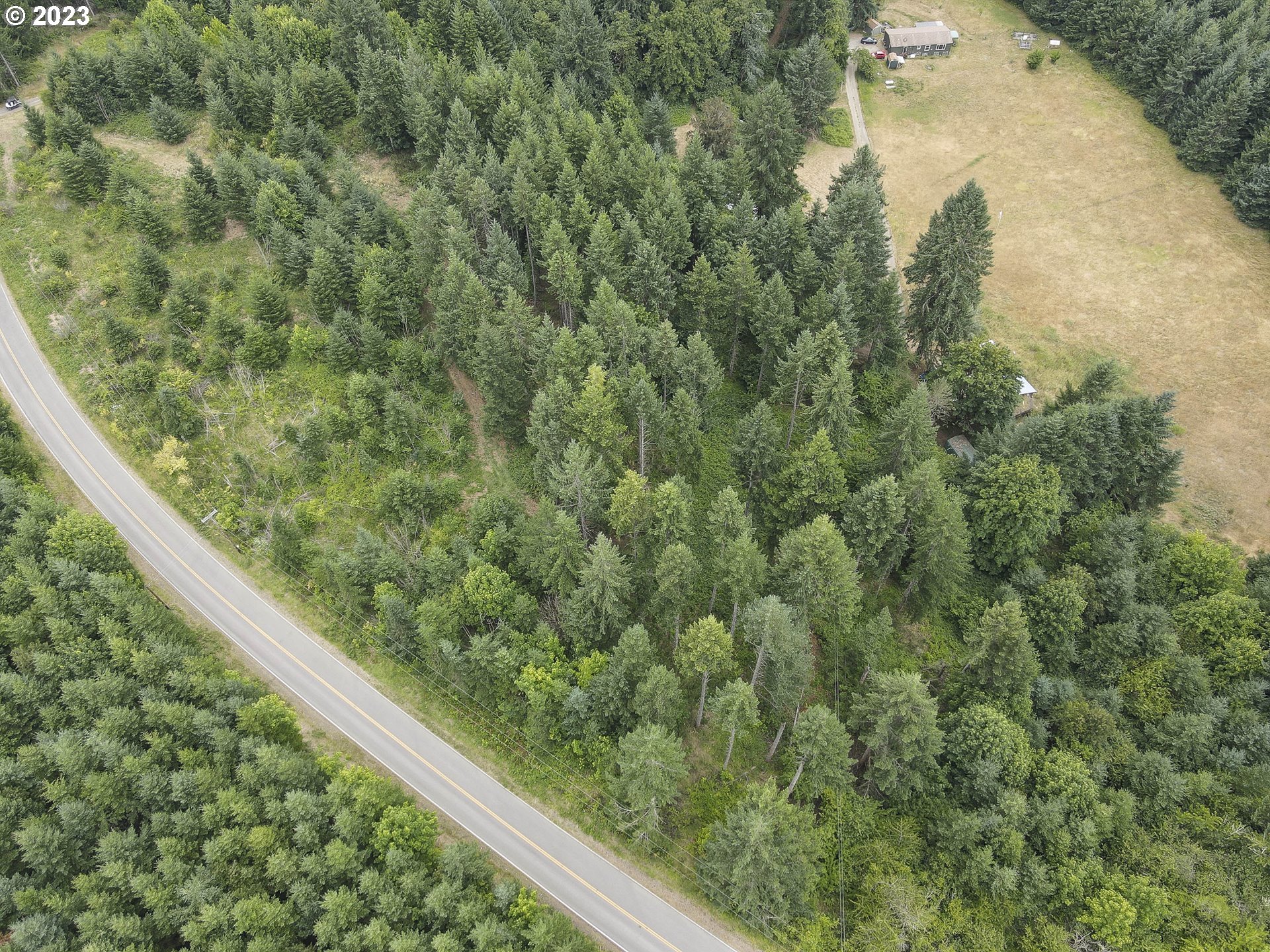 Northwest Pumpkin Ridge Road North Plains, OR 97133 - Photo 10 of 35 a view of a forest from a window