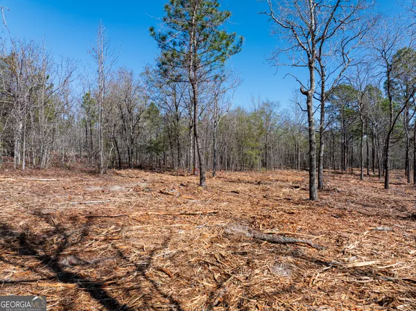 a view of covered with snow