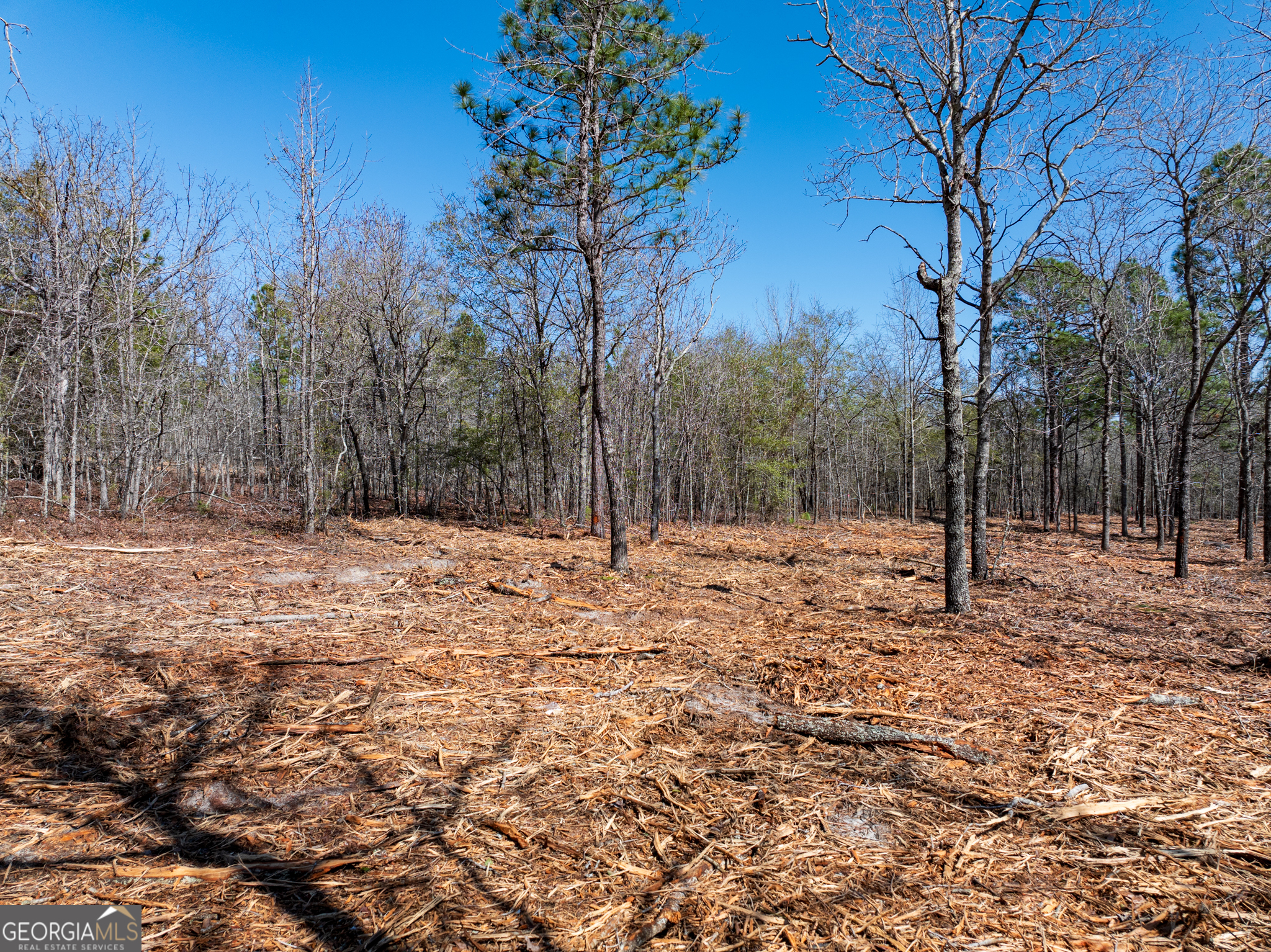 10.5-acres River Road, Unit LOT #2 Waynesboro, GA 30830 - Photo 13 of 27