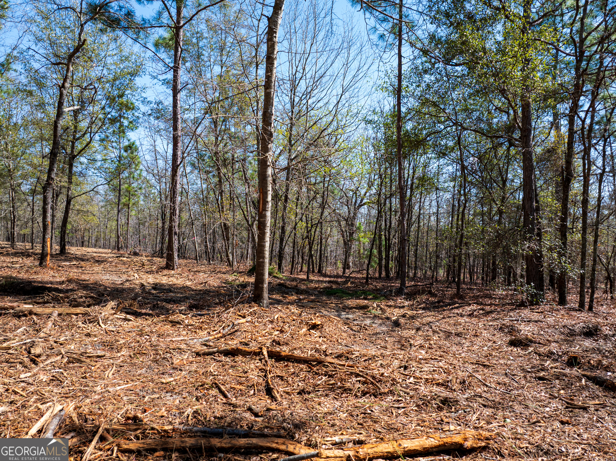 10.5-acres River Road, Unit LOT #2 Waynesboro, GA 30830 - Photo 14 of 27