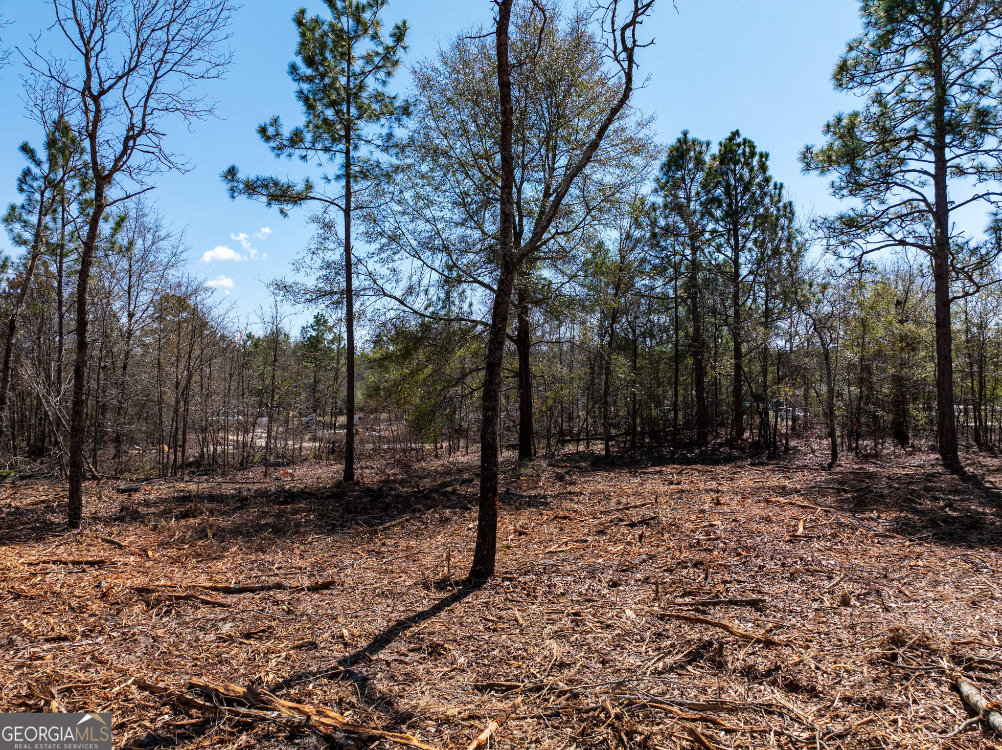 10.5-acres River Road, Unit LOT #2 Waynesboro, GA 30830 - Photo 17 of 27