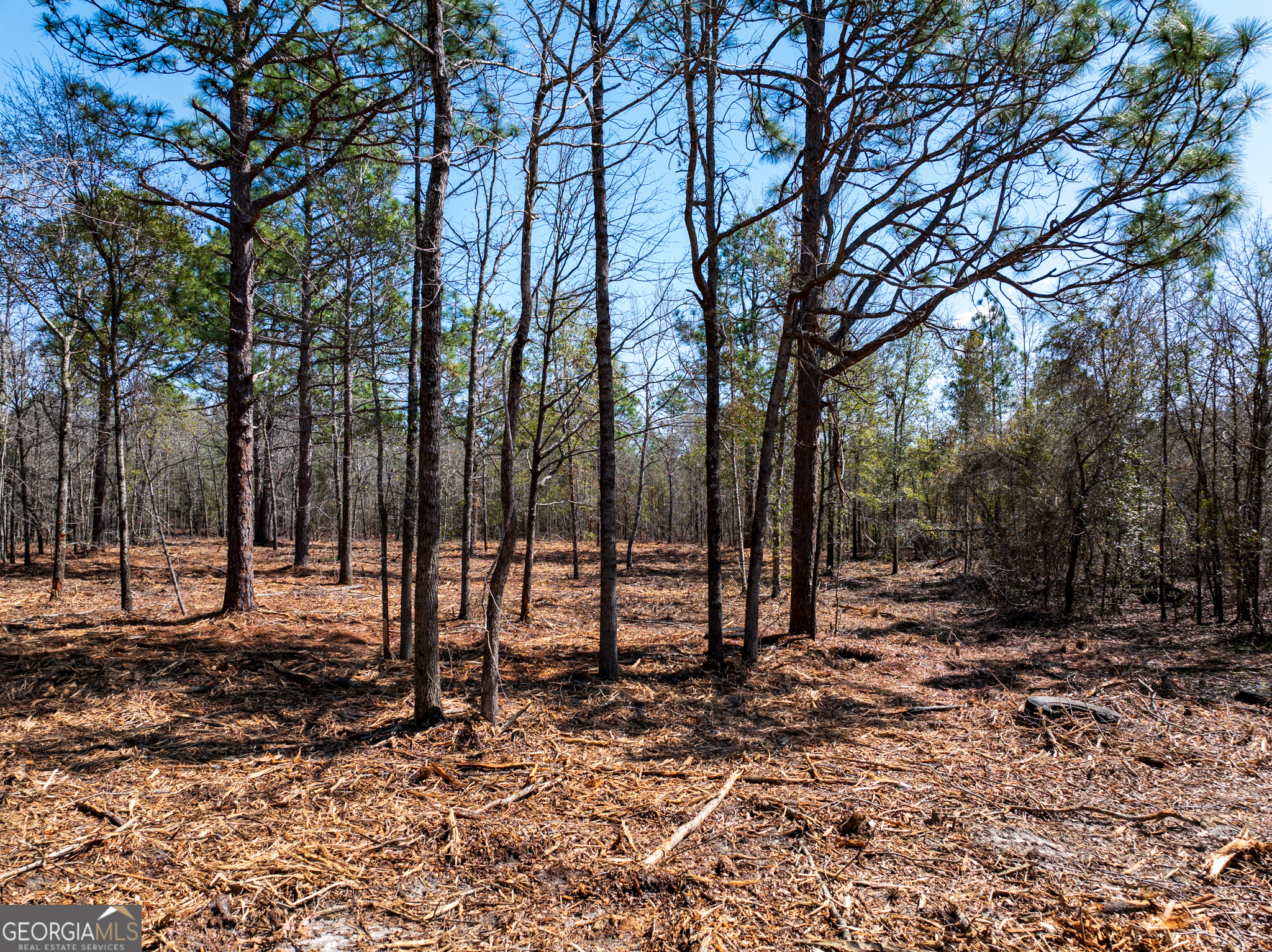 10.5-acres River Road, Unit LOT #2 Waynesboro, GA 30830 - Photo 18 of 27