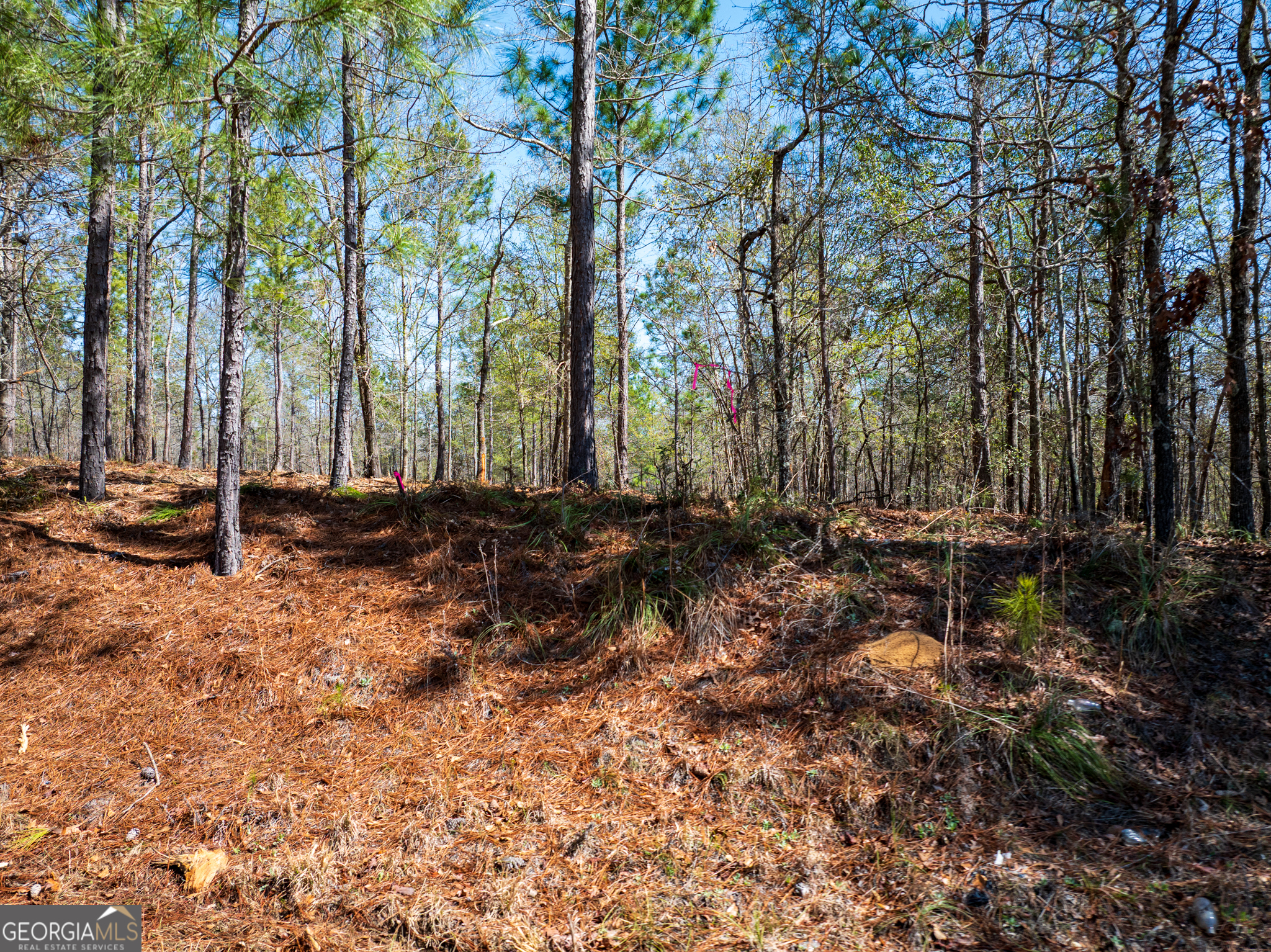 10.5-acres River Road, Unit LOT #2 Waynesboro, GA 30830 - Photo 20 of 27