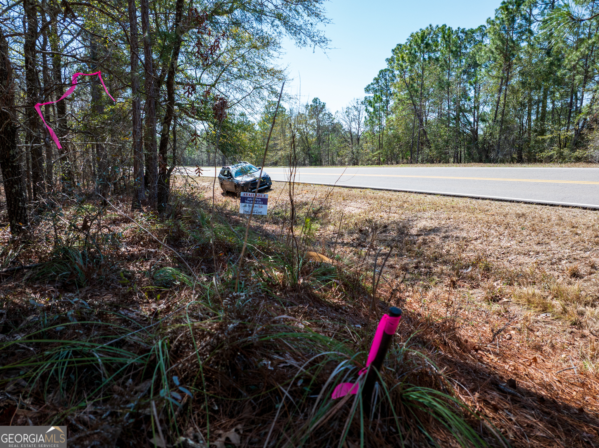 10.5-acres River Road, Unit LOT #2 Waynesboro, GA 30830 - Photo 24 of 27