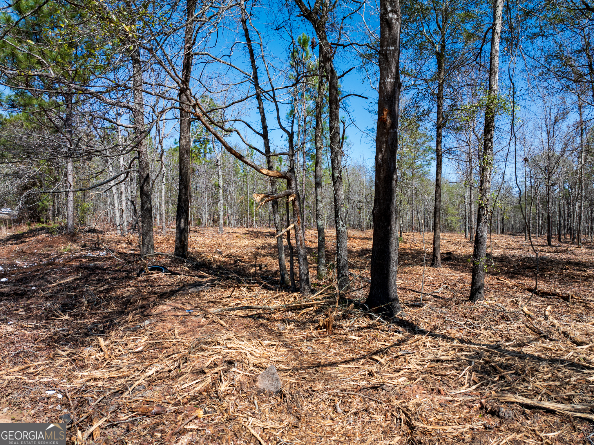 10.5-acres River Road, Unit LOT #2 Waynesboro, GA 30830 - Photo 6 of 27