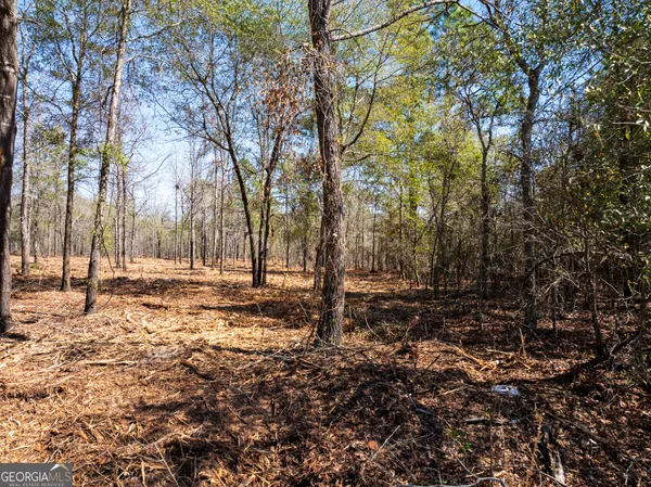 a view of yard with trees