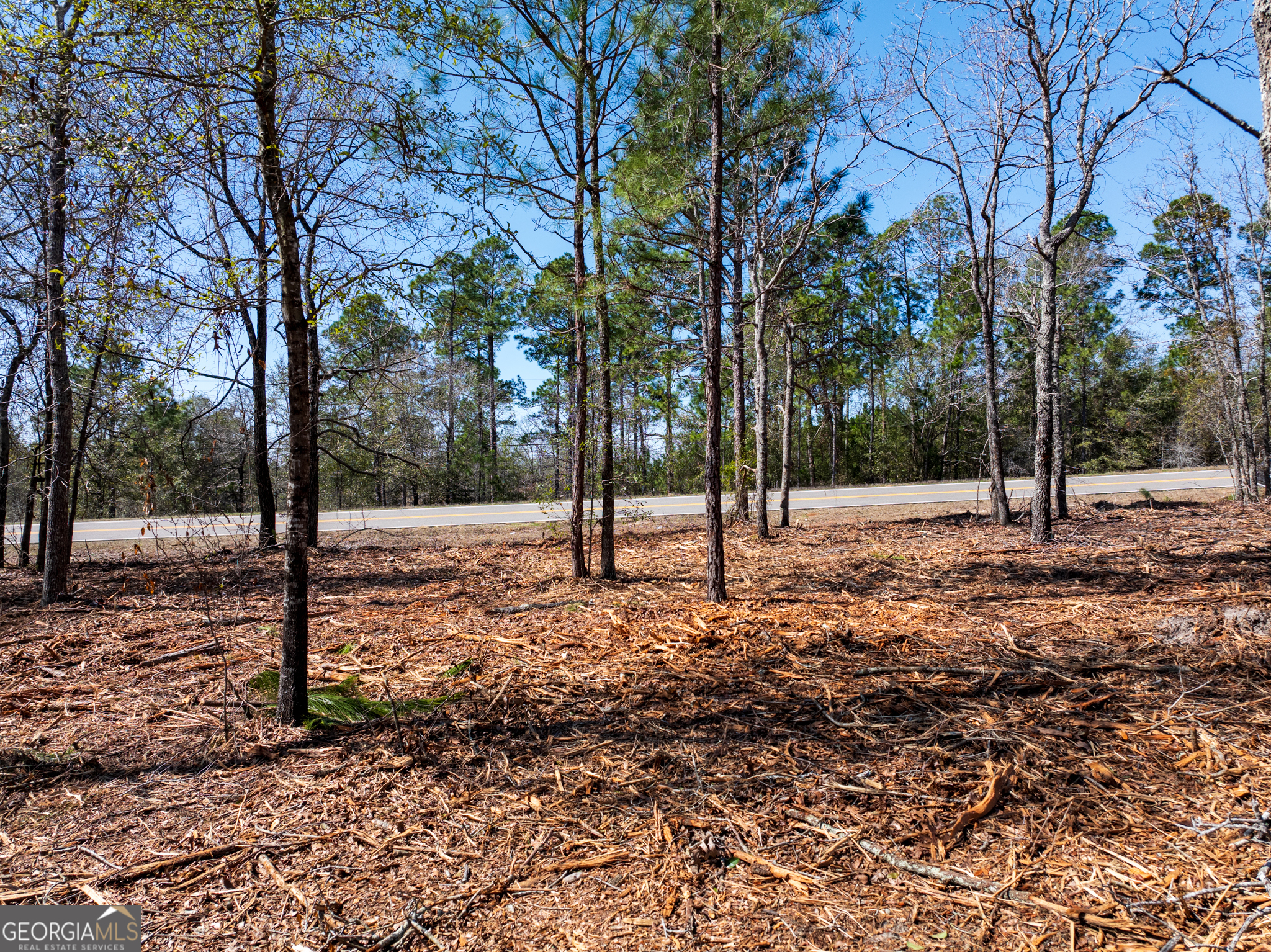 10.5-acres River Road, Unit LOT #2 Waynesboro, GA 30830 - Photo 8 of 27