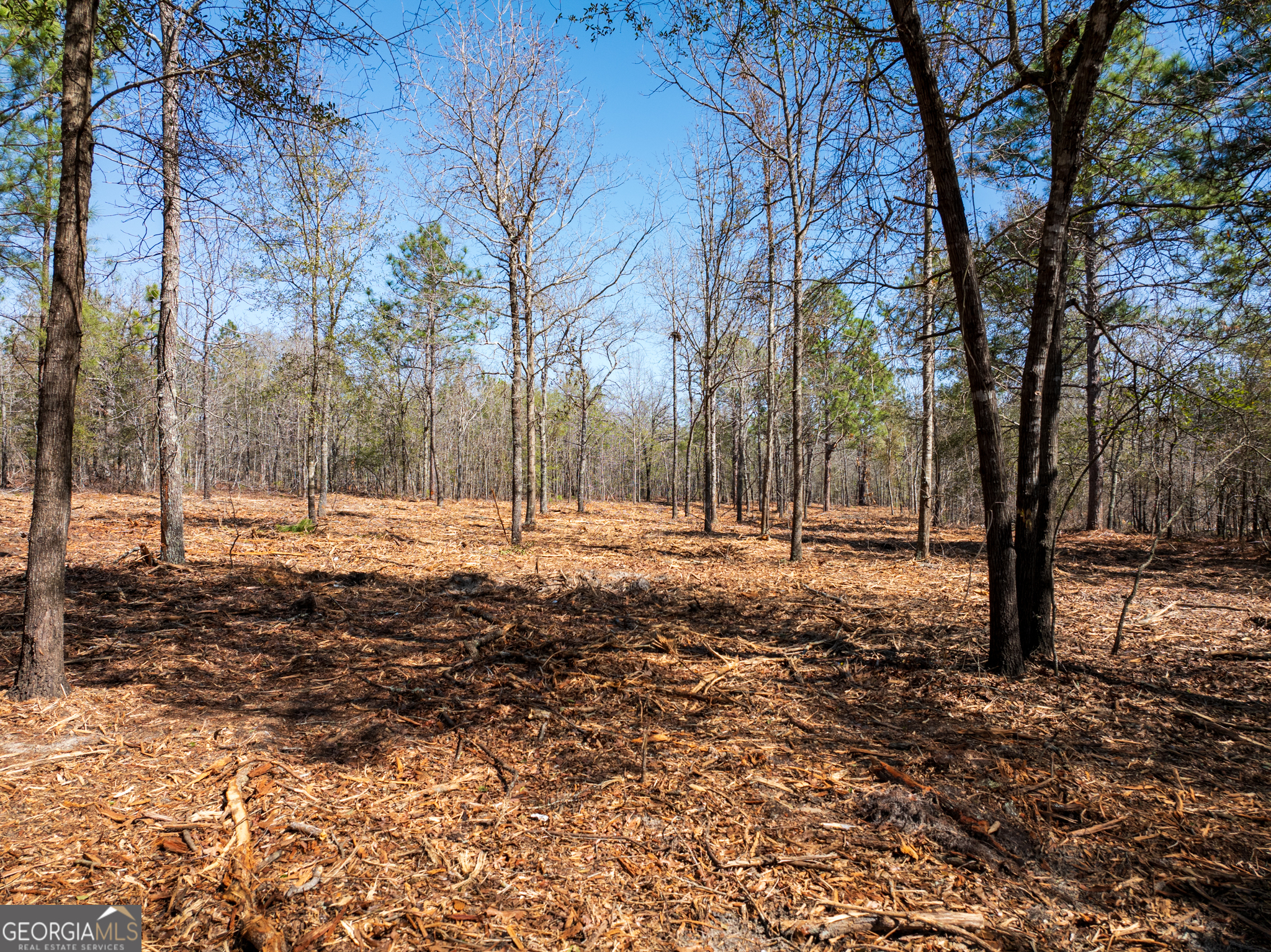 10.5-acres River Road, Unit LOT #2 Waynesboro, GA 30830 - Photo 10 of 27