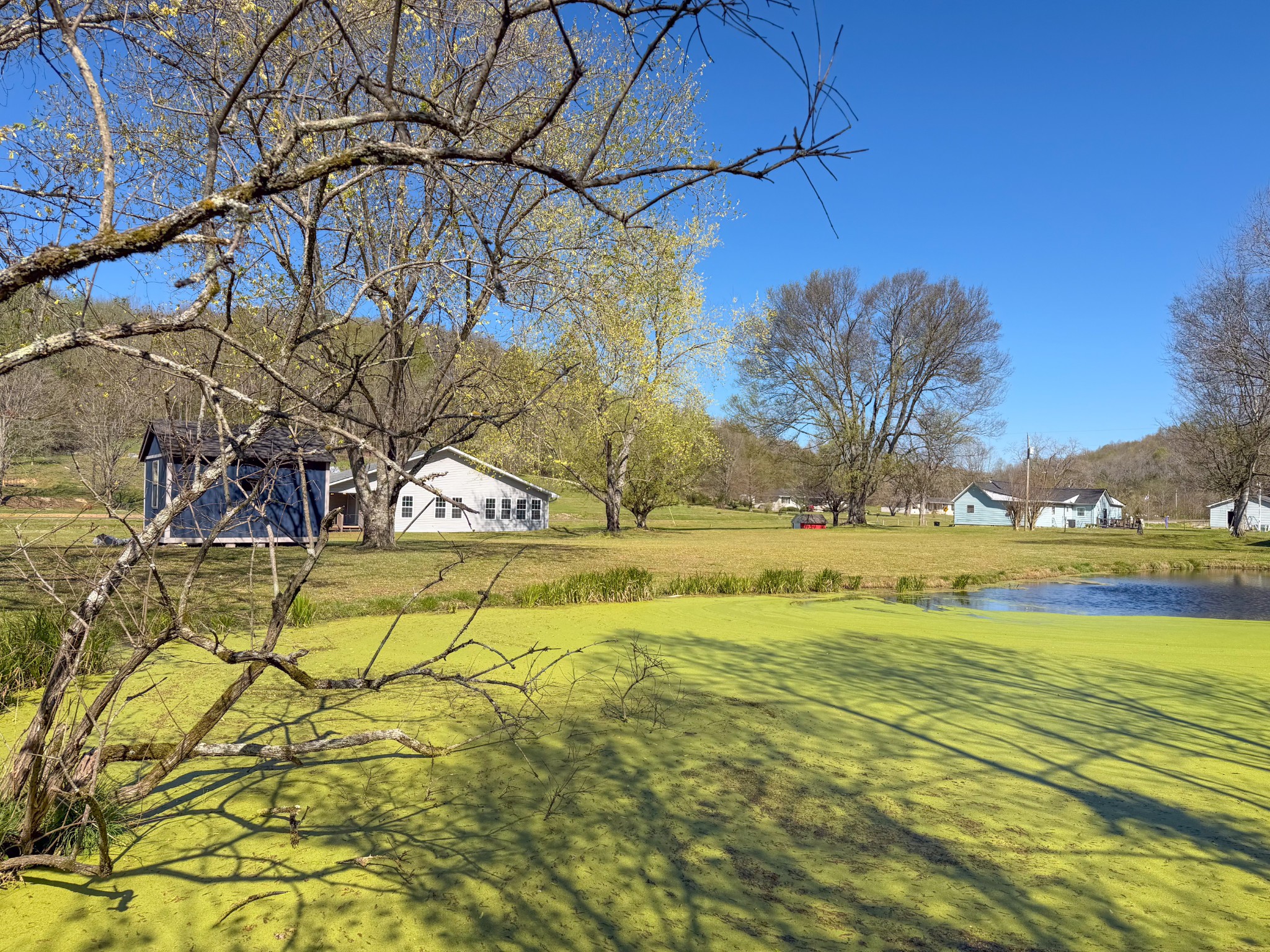 8941 Bethel Road Prospect, TN 38477 - Photo 38 of 50