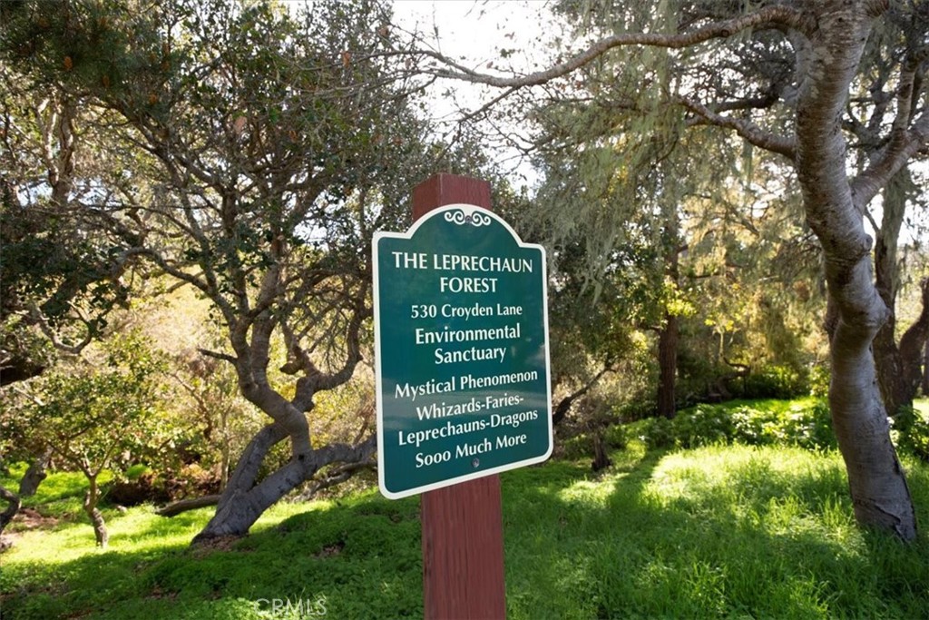 498 Croyden Lane Cambria, CA 93428 - Photo 13 of 68