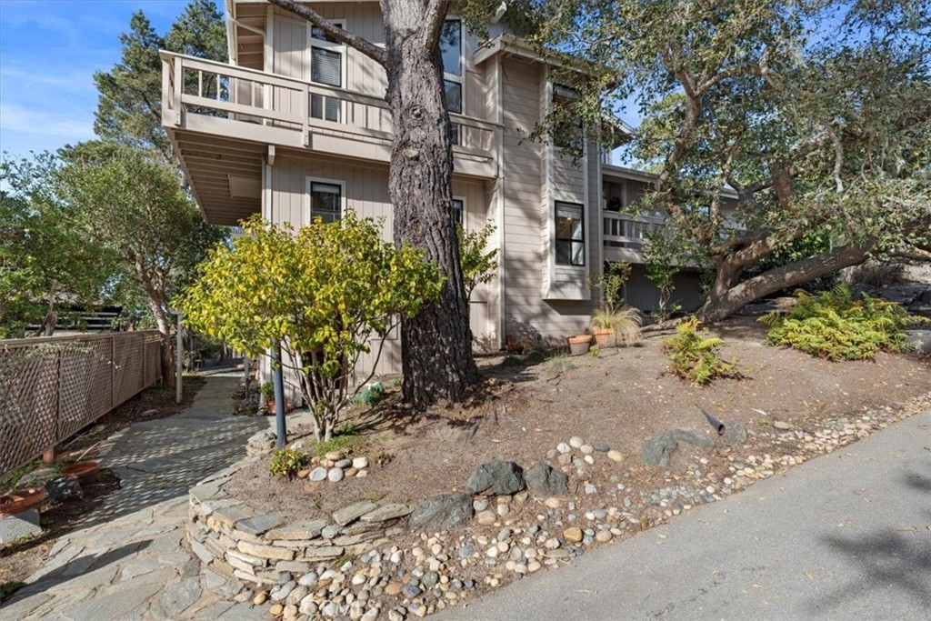 498 Croyden Lane Cambria, CA 93428 - Photo 8 of 68 a plant is sitting in front of a brick house