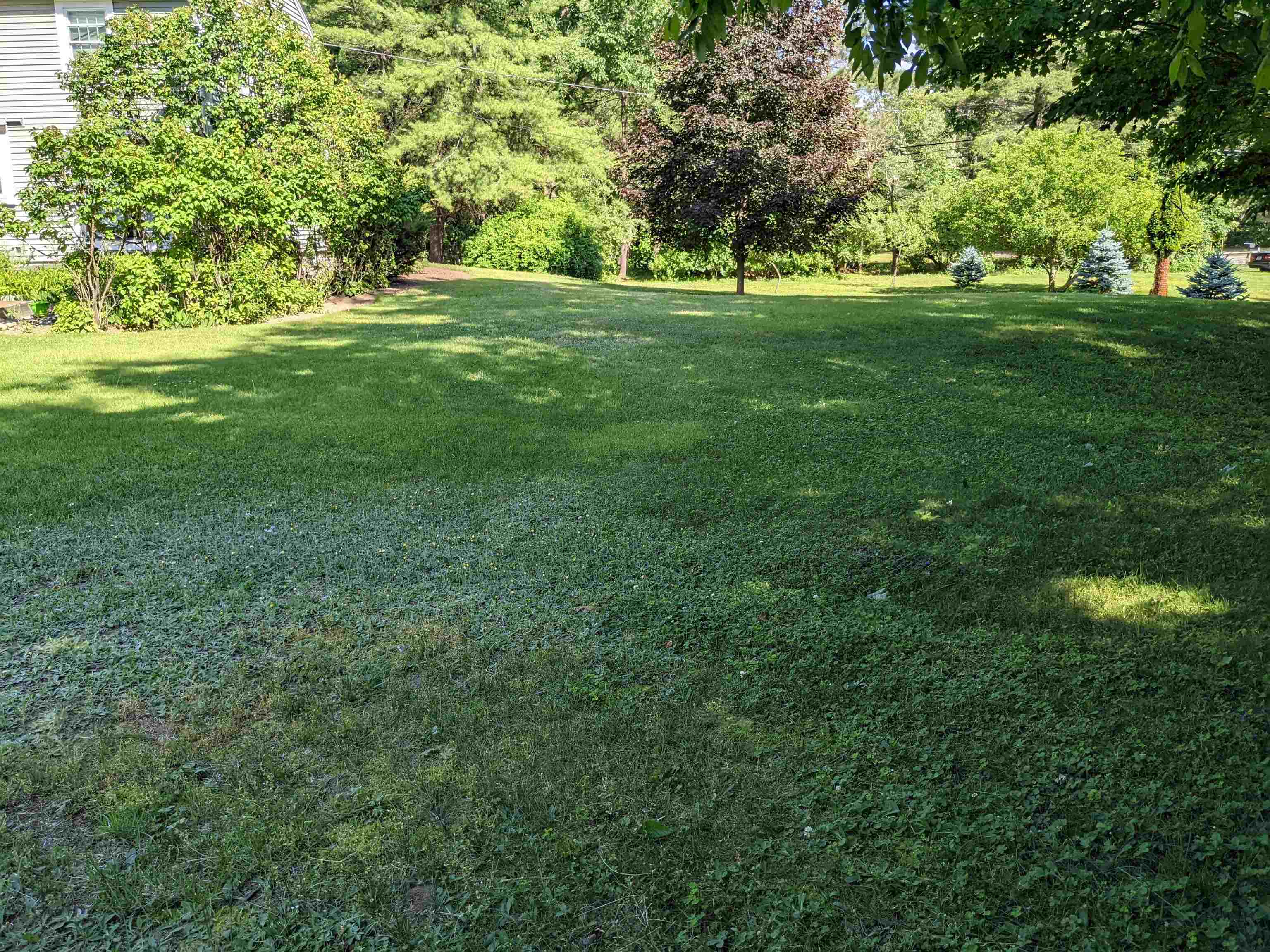 44 Horace Greeley Road Amherst, NH 03031 - Photo 6 of 9