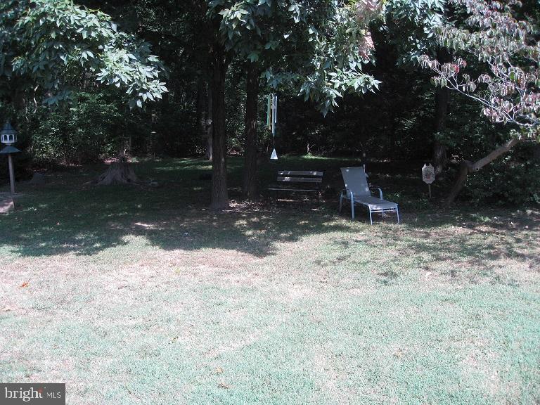150 Faggs Manor Road Cochranville, PA 19330 - Photo 11 of 40 Rear yard and woods