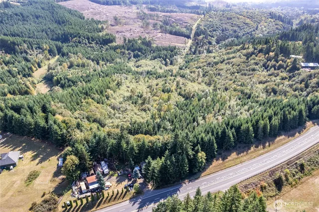 a view of a garden with a pathway