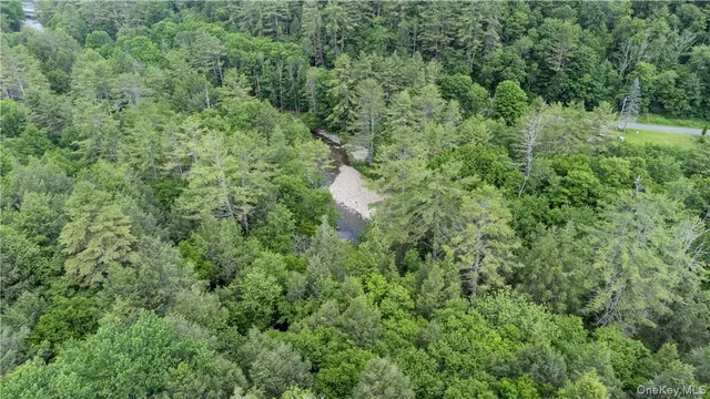 $2,500,000 | 56 Saw Mill Road, Claryville, NY 12725