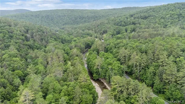 $2,500,000 | 56 Saw Mill Road, Claryville, NY 12725