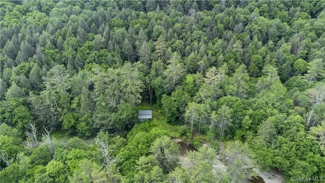 $2,500,000 | 56 Saw Mill Road, Claryville, NY 12725