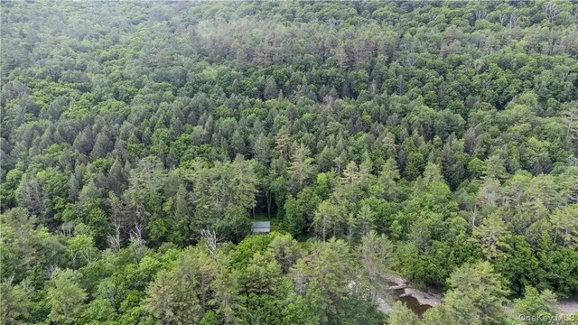 $2,500,000 | 56 Saw Mill Road, Claryville, NY 12725