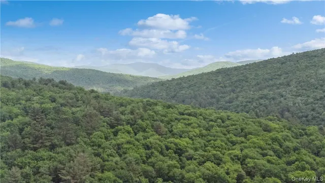 $2,500,000 | 56 Saw Mill Road, Claryville, NY 12725