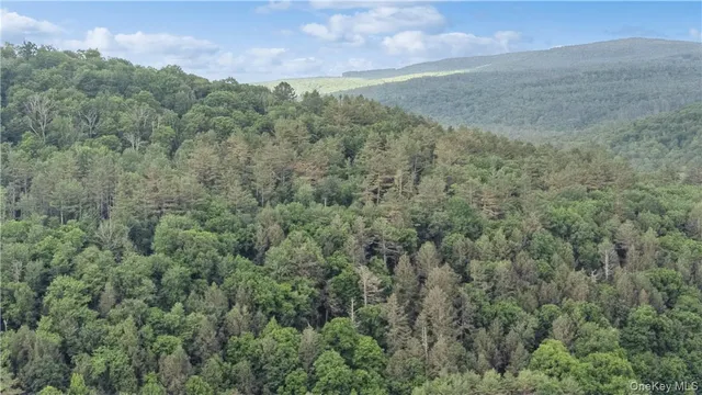 $2,500,000 | 56 Saw Mill Road, Claryville, NY 12725