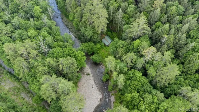 $2,500,000 | 56 Saw Mill Road, Claryville, NY 12725