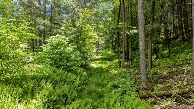 $2,500,000 | 56 Saw Mill Road, Claryville, NY 12725