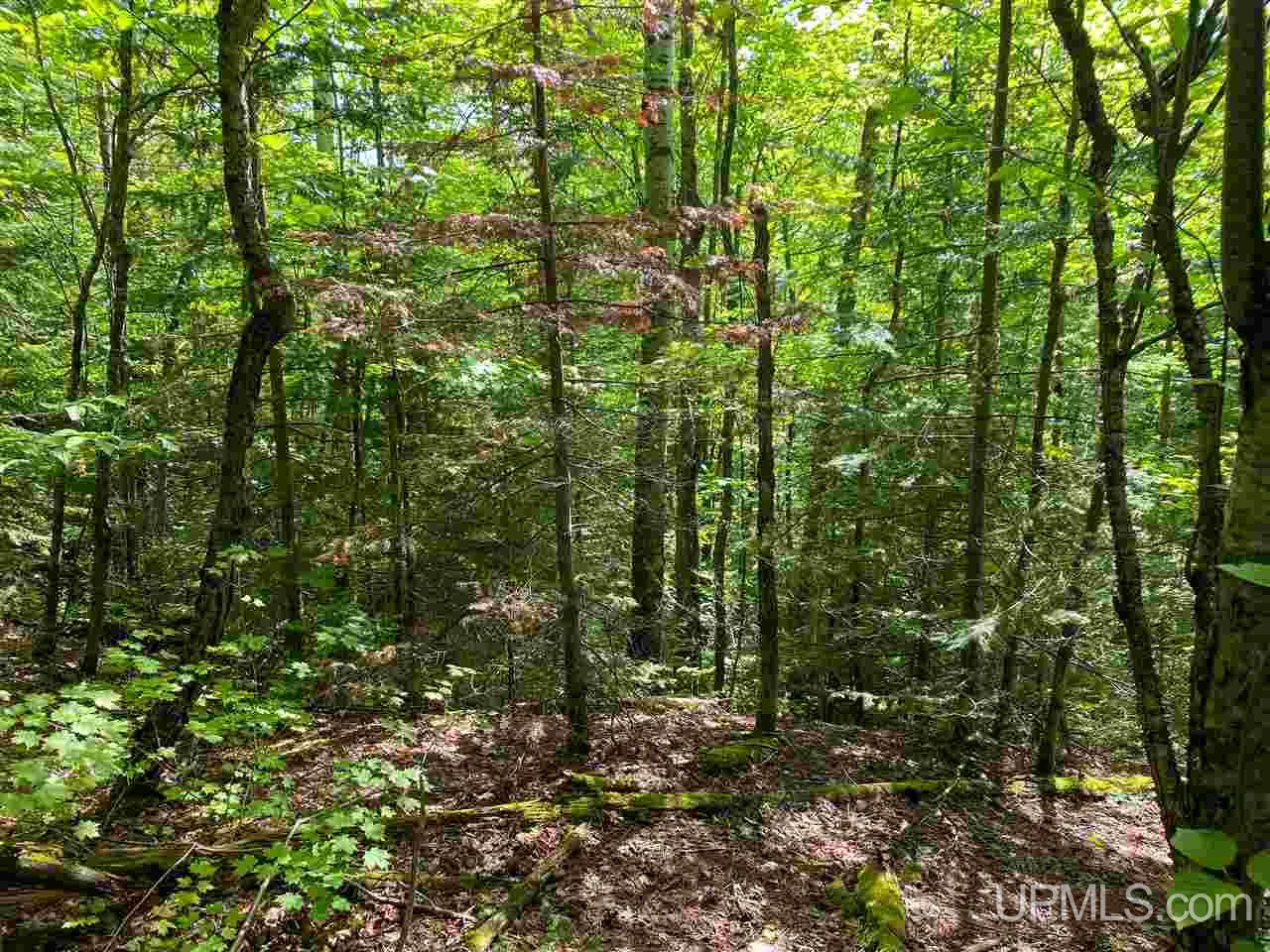 Tbd M-64 Ontonagon, MI 49953 - Photo 9 of 22
