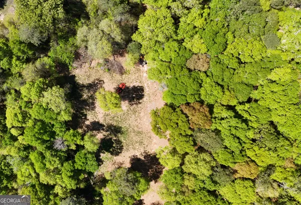 a backyard of a house with a tree