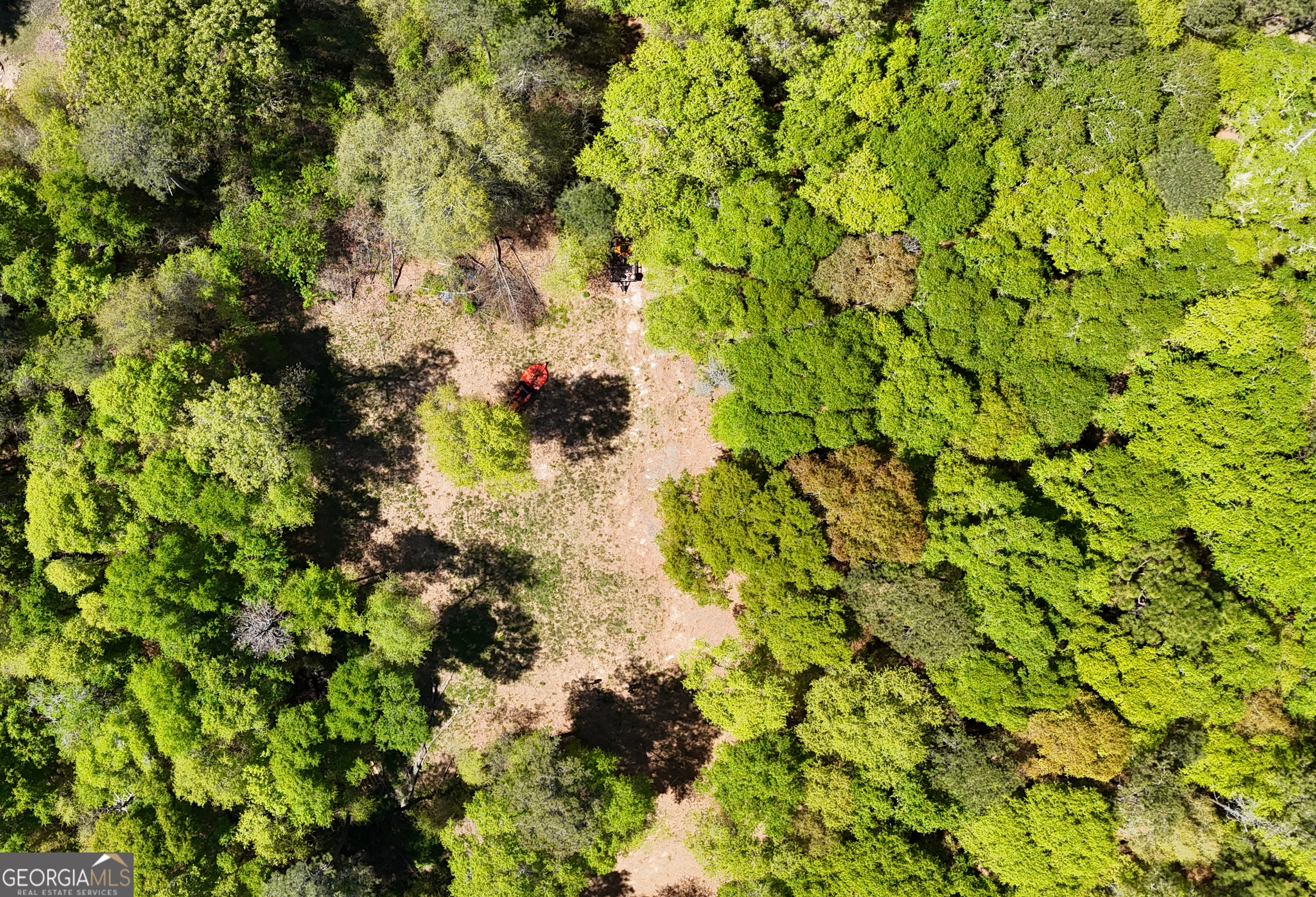 a backyard of a house with a tree
