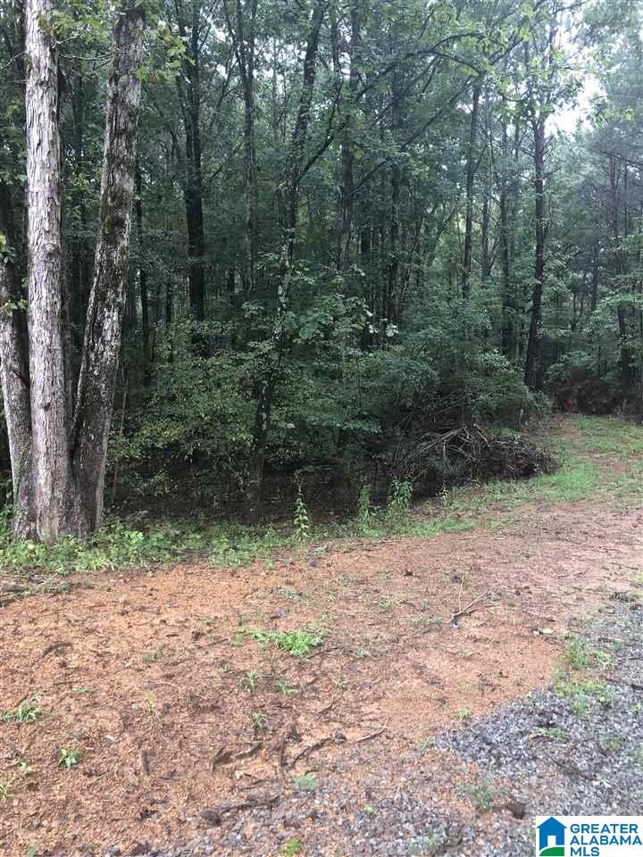 659 Deaver Walker Road, Unit 1 Trafford, AL 35172 - Photo 4 of 7