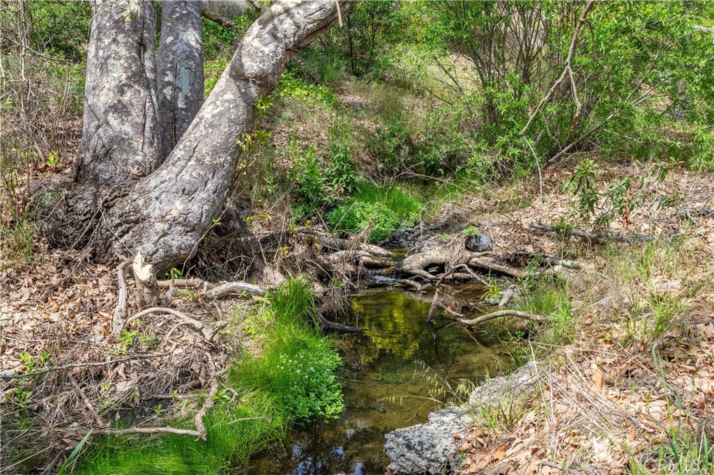 0 Sycamore Mesa Road Temecula, CA 92590 - Photo 1 of 1 Year-round water