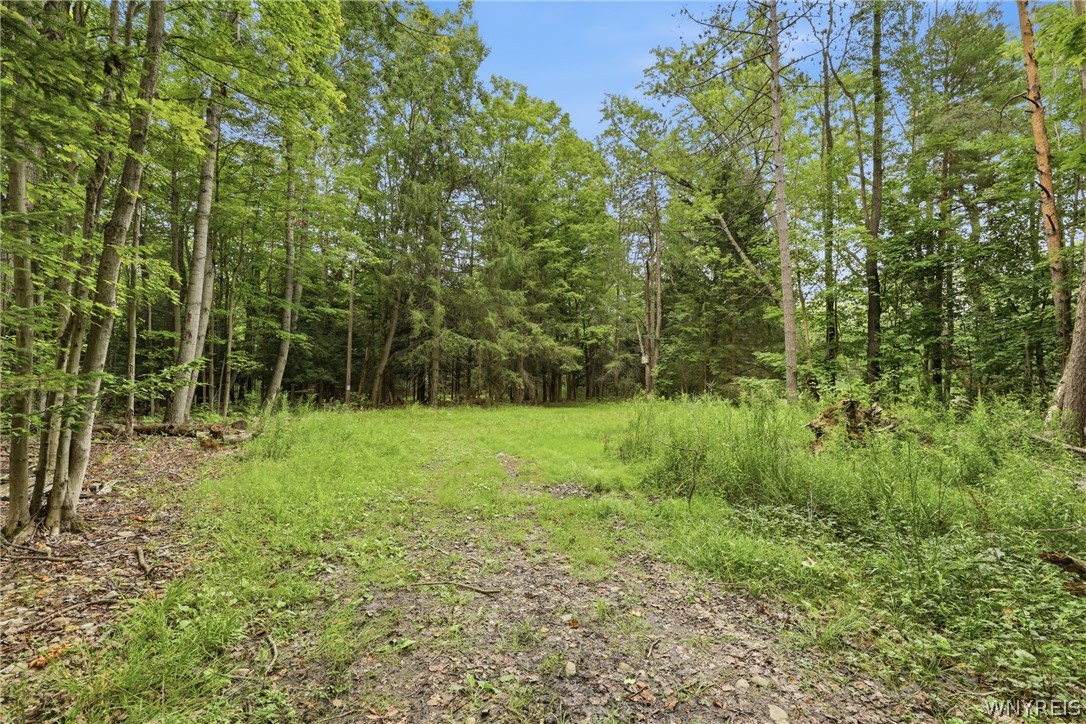 10788 Partridge Road Colden, NY 14080 - Photo 3 of 24
