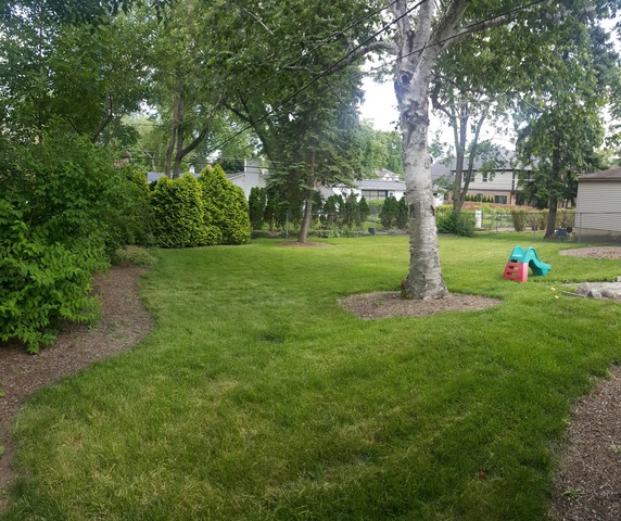 1251 North Wilke Road Arlington Heights, IL 60004 - Photo 9 of 10