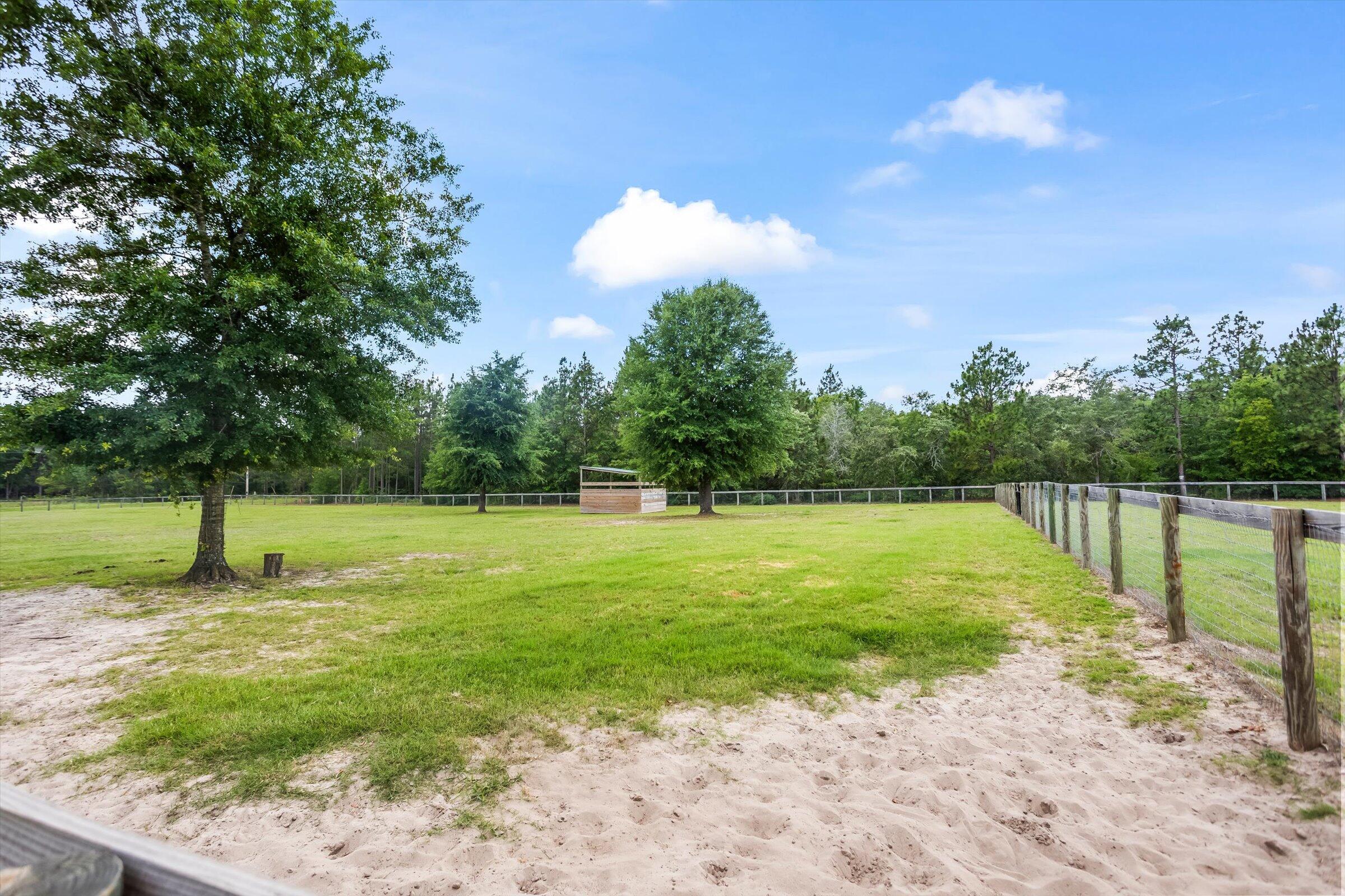 1178 Weeks Road Williston, SC 29853 - Photo 72 of 72