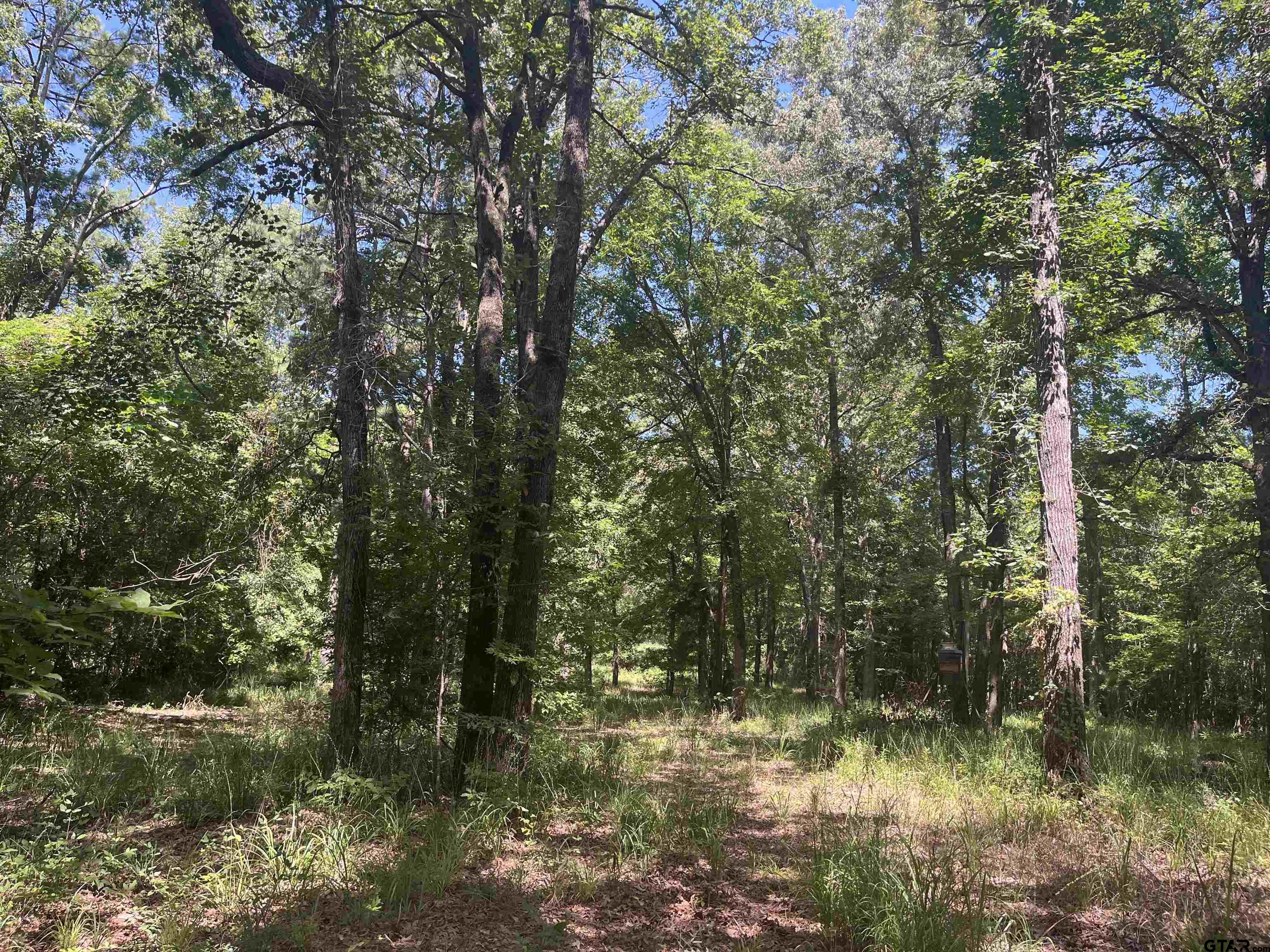 2205 Rusk Tx 75785 Rusk, TX 75785 - Photo 5 of 8 a view of lake with green space