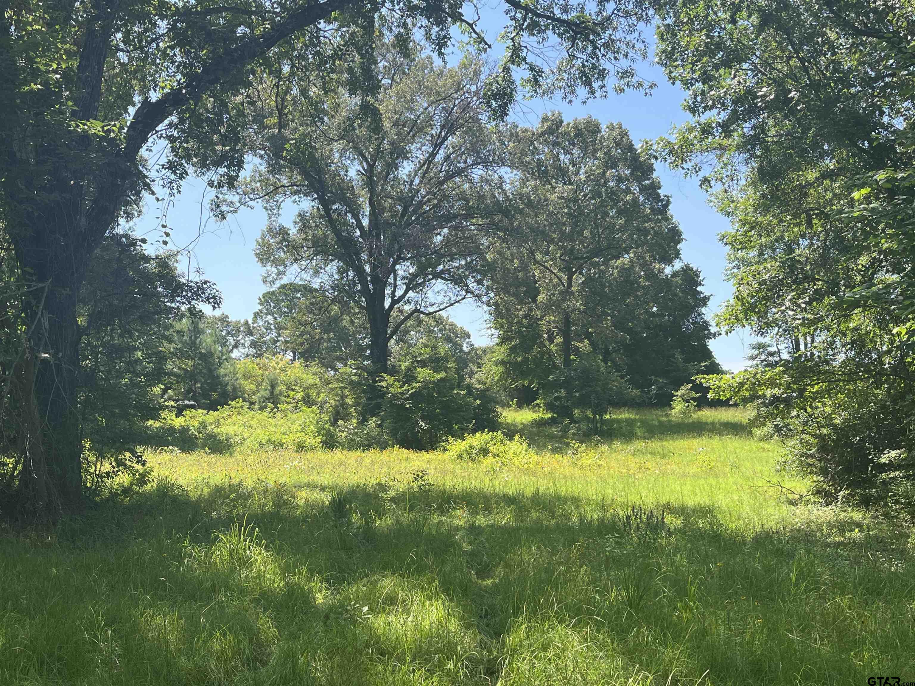 2205 Rusk Tx 75785 Rusk, TX 75785 - Photo 6 of 8 a view of yard with green space