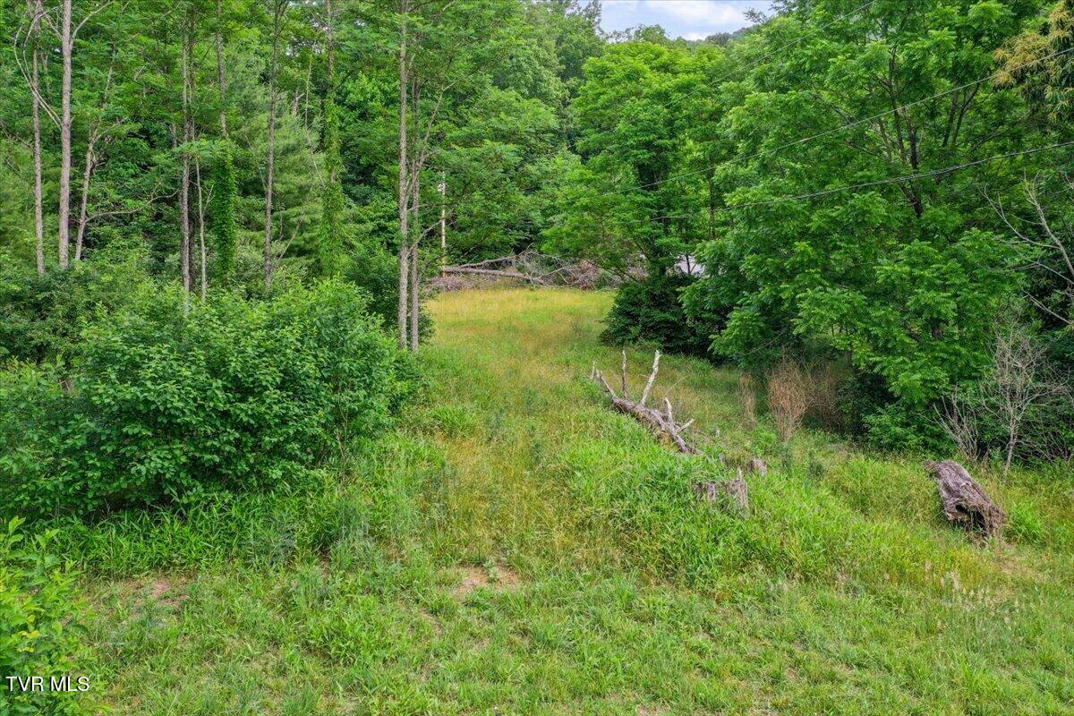 1258 Hawkins Road Laurel Bloomery, TN 37680 - Photo 10 of 29 10-DJI_0222