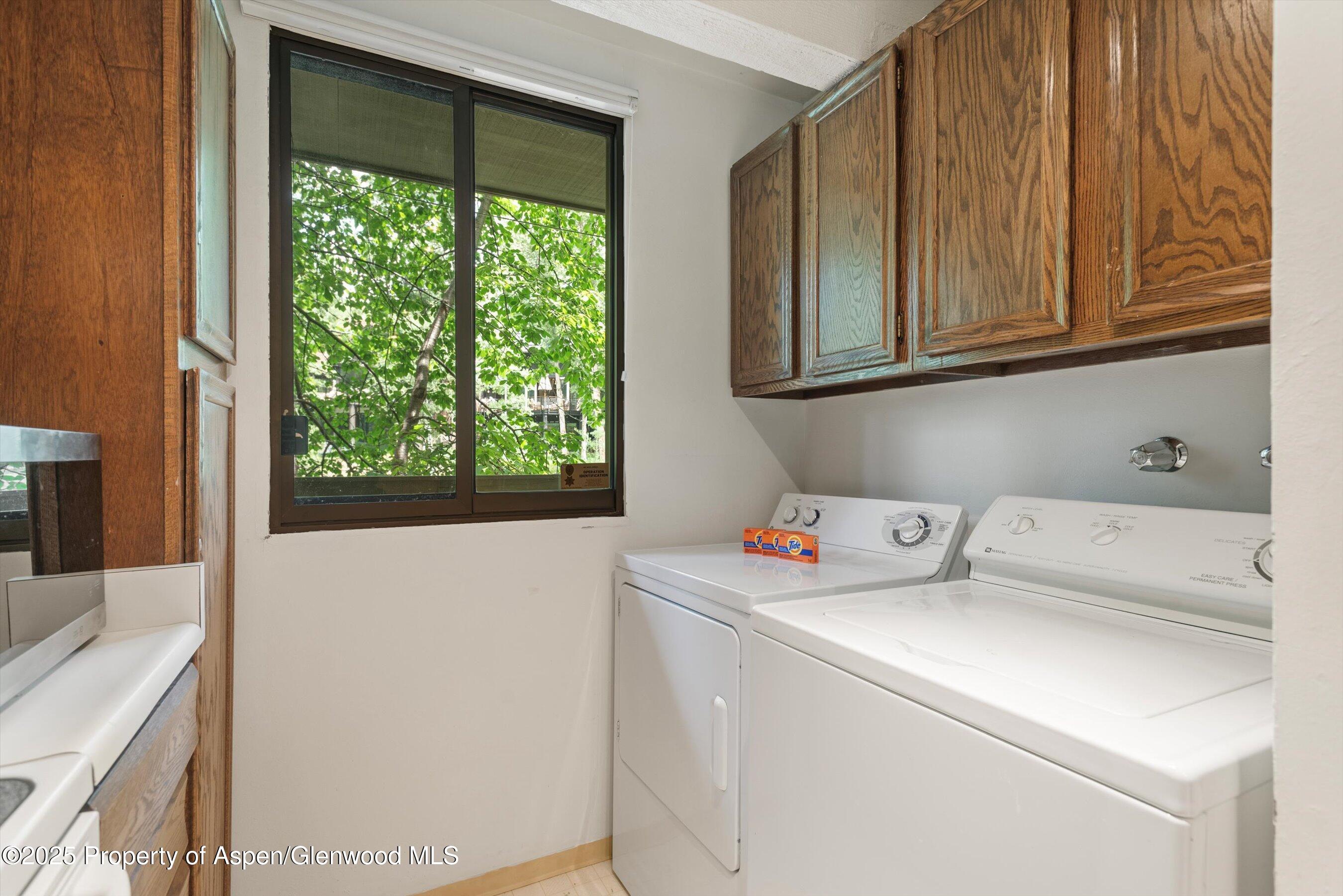 1024 East Hopkins Avenue, Unit 16 Aspen, CO 81611 - Photo 11 of 20 Full Size Laundry